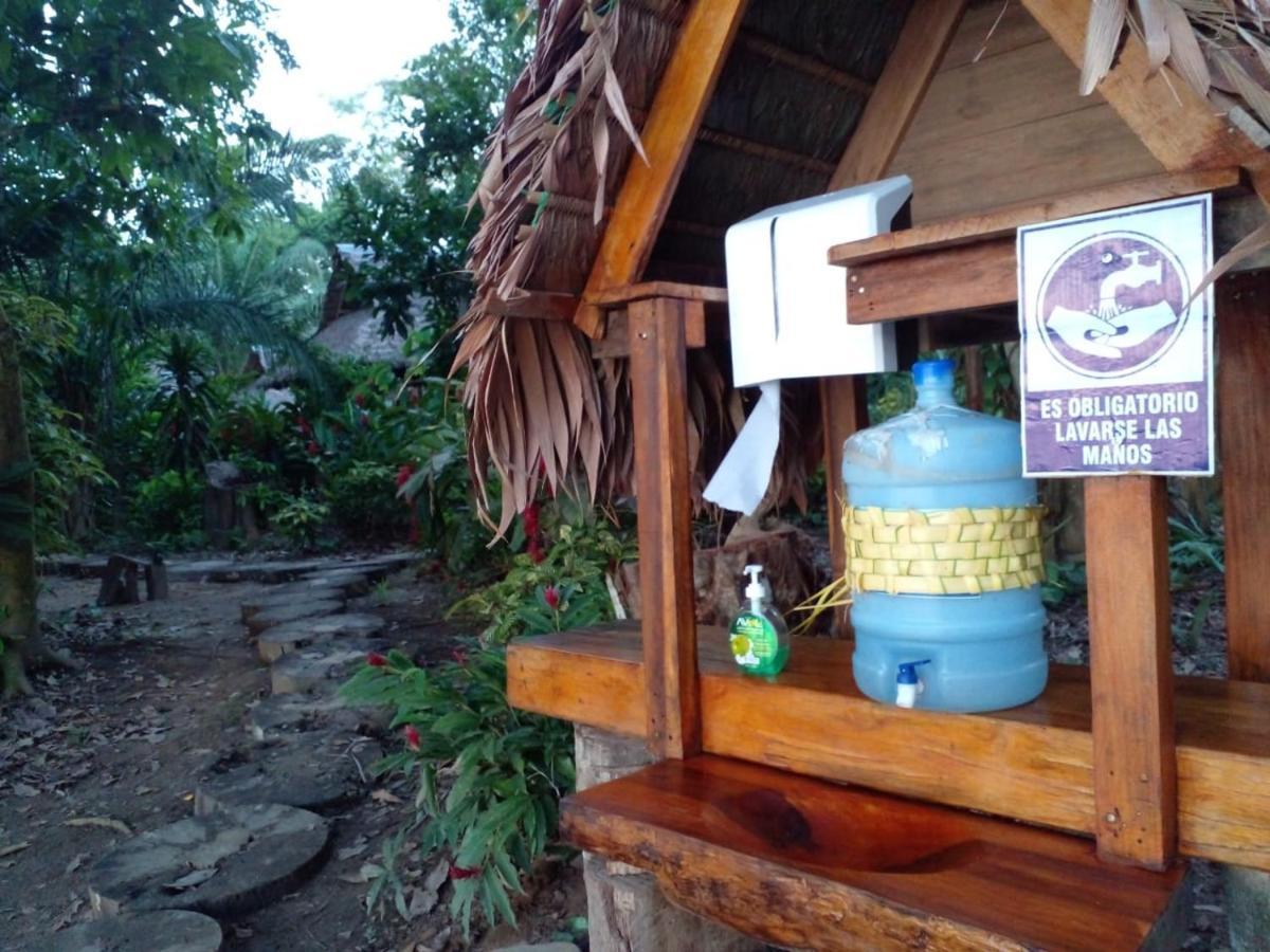 Ecolucerna Lodge Tambopata 马尔多纳多港 外观 照片